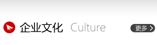 企業(yè)精神：誠(chéng)信務(wù)實(shí) 經(jīng)驗(yàn)進(jìn)取